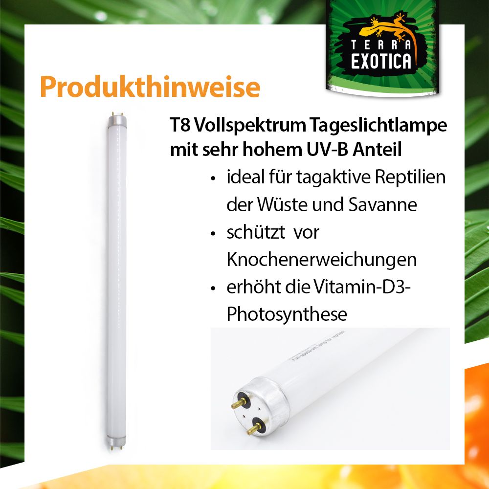 Sunray Desert UV 10.0 - Leuchtstoffröhre - 15-36 Watt